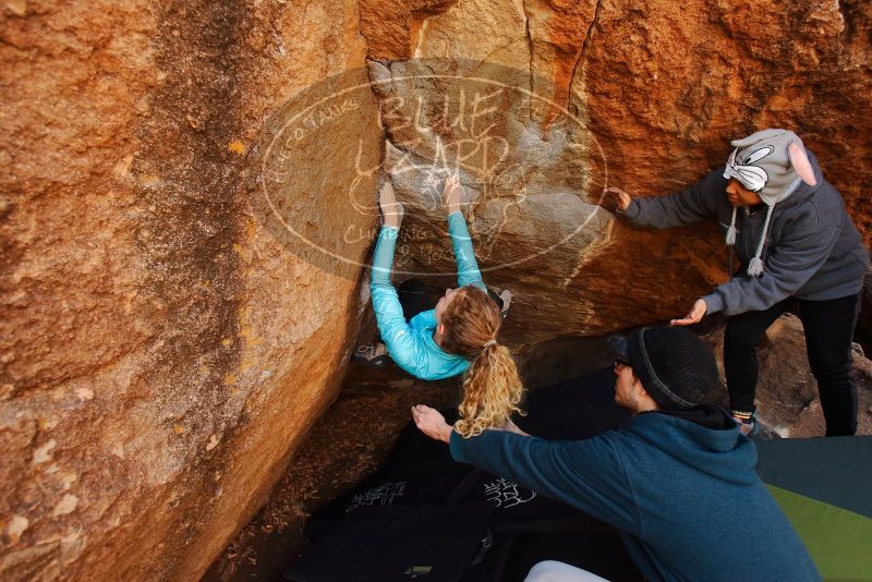 Bouldering in Hueco Tanks on 12/19/2019 with Blue Lizard Climbing and Yoga

Filename: SRM_20191219_1253540.jpg
Aperture: f/4.5
Shutter Speed: 1/250
Body: Canon EOS-1D Mark II
Lens: Canon EF 16-35mm f/2.8 L