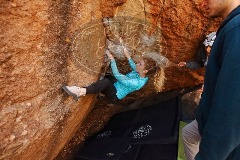 Bouldering in Hueco Tanks on 12/19/2019 with Blue Lizard Climbing and Yoga

Filename: SRM_20191219_1254180.jpg
Aperture: f/4.0
Shutter Speed: 1/250
Body: Canon EOS-1D Mark II
Lens: Canon EF 16-35mm f/2.8 L