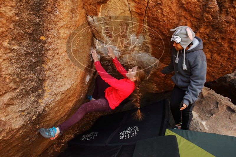 Bouldering in Hueco Tanks on 12/19/2019 with Blue Lizard Climbing and Yoga

Filename: SRM_20191219_1257150.jpg
Aperture: f/4.0
Shutter Speed: 1/250
Body: Canon EOS-1D Mark II
Lens: Canon EF 16-35mm f/2.8 L
