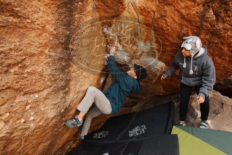 Bouldering in Hueco Tanks on 12/19/2019 with Blue Lizard Climbing and Yoga

Filename: SRM_20191219_1301560.jpg
Aperture: f/4.0
Shutter Speed: 1/250
Body: Canon EOS-1D Mark II
Lens: Canon EF 16-35mm f/2.8 L
