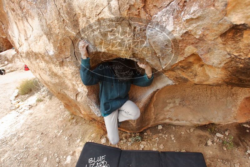 Bouldering in Hueco Tanks on 12/19/2019 with Blue Lizard Climbing and Yoga

Filename: SRM_20191219_1405180.jpg
Aperture: f/4.5
Shutter Speed: 1/250
Body: Canon EOS-1D Mark II
Lens: Canon EF 16-35mm f/2.8 L