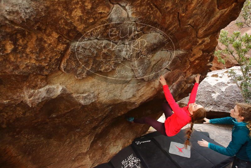 Bouldering in Hueco Tanks on 12/19/2019 with Blue Lizard Climbing and Yoga

Filename: SRM_20191219_1418350.jpg
Aperture: f/4.0
Shutter Speed: 1/250
Body: Canon EOS-1D Mark II
Lens: Canon EF 16-35mm f/2.8 L