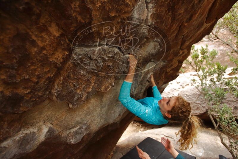 Bouldering in Hueco Tanks on 12/19/2019 with Blue Lizard Climbing and Yoga

Filename: SRM_20191219_1430150.jpg
Aperture: f/4.0
Shutter Speed: 1/250
Body: Canon EOS-1D Mark II
Lens: Canon EF 16-35mm f/2.8 L