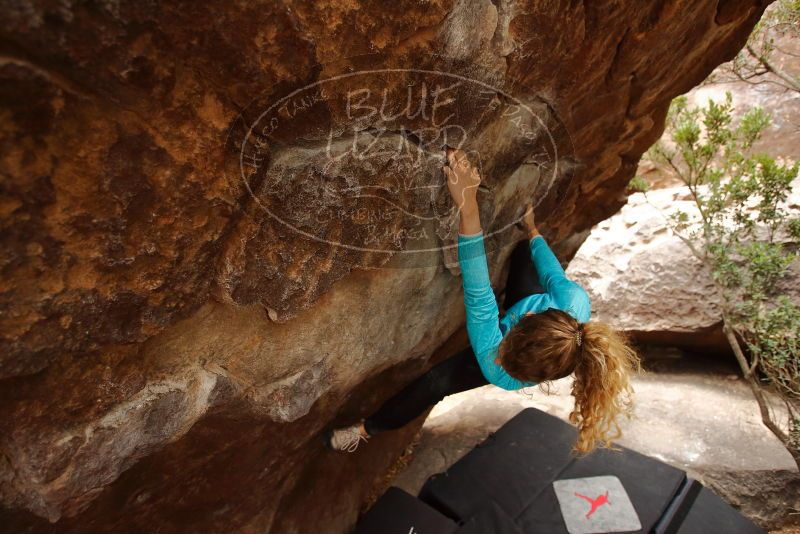 Bouldering in Hueco Tanks on 12/19/2019 with Blue Lizard Climbing and Yoga

Filename: SRM_20191219_1448140.jpg
Aperture: f/4.0
Shutter Speed: 1/250
Body: Canon EOS-1D Mark II
Lens: Canon EF 16-35mm f/2.8 L