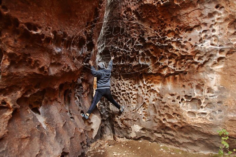 Bouldering in Hueco Tanks on 12/19/2019 with Blue Lizard Climbing and Yoga

Filename: SRM_20191219_1622520.jpg
Aperture: f/2.8
Shutter Speed: 1/80
Body: Canon EOS-1D Mark II
Lens: Canon EF 16-35mm f/2.8 L