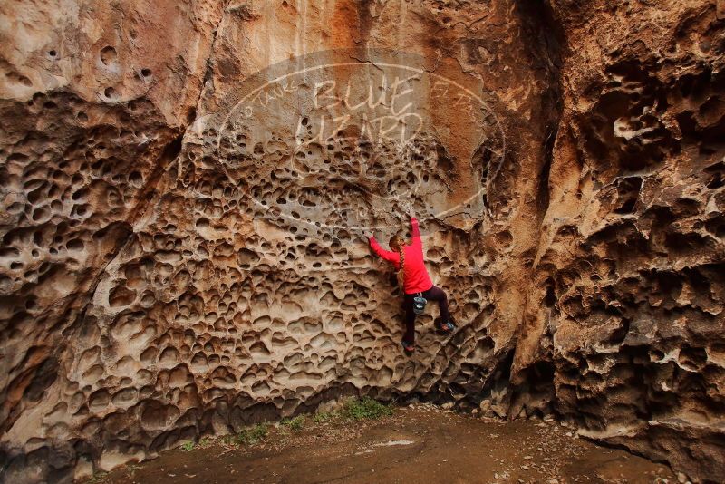 Bouldering in Hueco Tanks on 12/19/2019 with Blue Lizard Climbing and Yoga

Filename: SRM_20191219_1626420.jpg
Aperture: f/4.0
Shutter Speed: 1/160
Body: Canon EOS-1D Mark II
Lens: Canon EF 16-35mm f/2.8 L