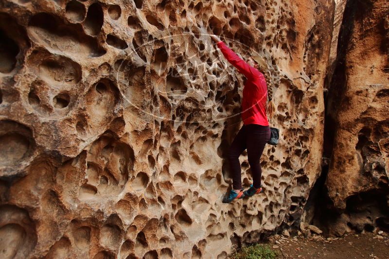 Bouldering in Hueco Tanks on 12/19/2019 with Blue Lizard Climbing and Yoga

Filename: SRM_20191219_1626490.jpg
Aperture: f/3.5
Shutter Speed: 1/160
Body: Canon EOS-1D Mark II
Lens: Canon EF 16-35mm f/2.8 L