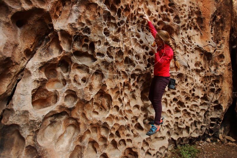 Bouldering in Hueco Tanks on 12/19/2019 with Blue Lizard Climbing and Yoga

Filename: SRM_20191219_1627020.jpg
Aperture: f/3.5
Shutter Speed: 1/160
Body: Canon EOS-1D Mark II
Lens: Canon EF 16-35mm f/2.8 L
