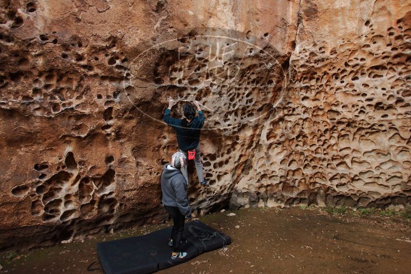 Bouldering in Hueco Tanks on 12/19/2019 with Blue Lizard Climbing and Yoga

Filename: SRM_20191219_1631210.jpg
Aperture: f/3.5
Shutter Speed: 1/100
Body: Canon EOS-1D Mark II
Lens: Canon EF 16-35mm f/2.8 L