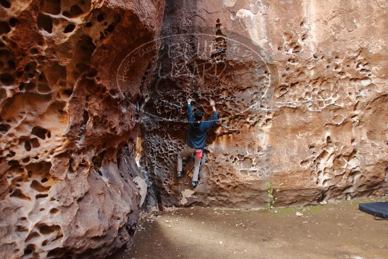 Bouldering in Hueco Tanks on 12/19/2019 with Blue Lizard Climbing and Yoga

Filename: SRM_20191219_1632220.jpg
Aperture: f/2.8
Shutter Speed: 1/50
Body: Canon EOS-1D Mark II
Lens: Canon EF 16-35mm f/2.8 L