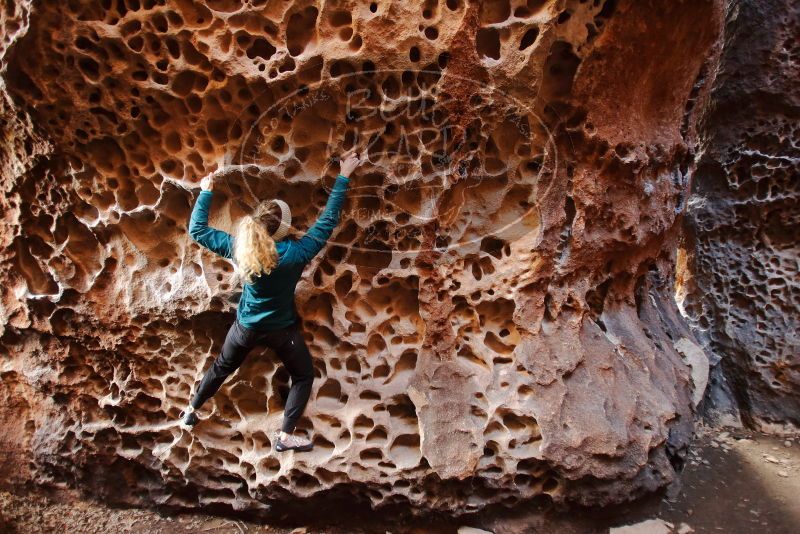 Bouldering in Hueco Tanks on 12/19/2019 with Blue Lizard Climbing and Yoga

Filename: SRM_20191219_1634020.jpg
Aperture: f/2.8
Shutter Speed: 1/40
Body: Canon EOS-1D Mark II
Lens: Canon EF 16-35mm f/2.8 L