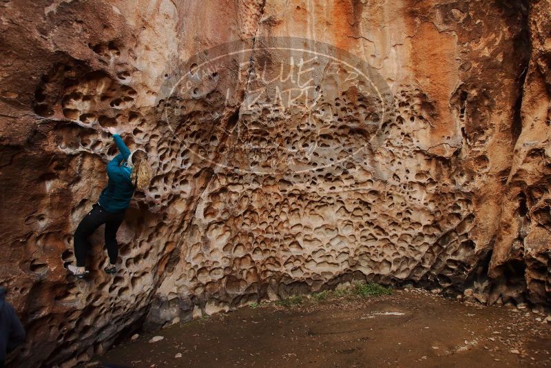 Bouldering in Hueco Tanks on 12/19/2019 with Blue Lizard Climbing and Yoga

Filename: SRM_20191219_1635520.jpg
Aperture: f/4.0
Shutter Speed: 1/100
Body: Canon EOS-1D Mark II
Lens: Canon EF 16-35mm f/2.8 L