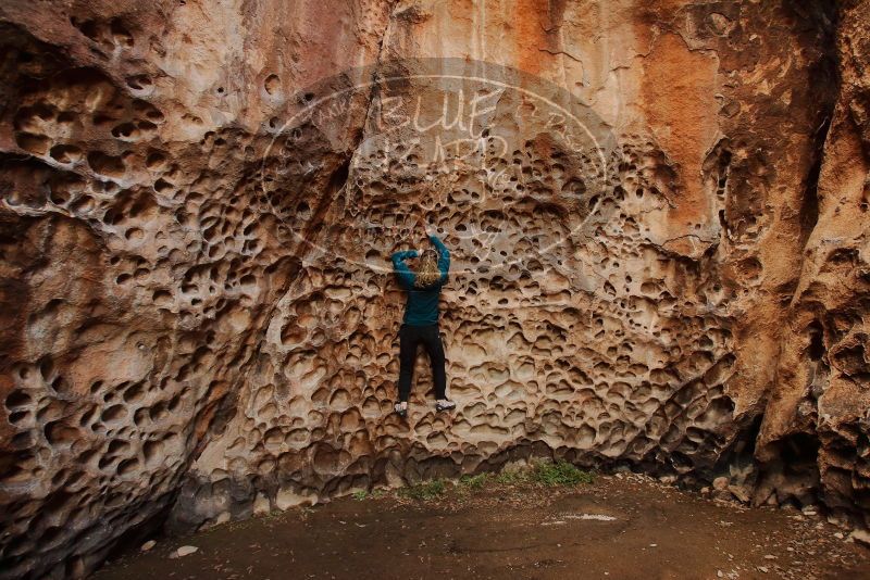 Bouldering in Hueco Tanks on 12/19/2019 with Blue Lizard Climbing and Yoga

Filename: SRM_20191219_1636370.jpg
Aperture: f/4.5
Shutter Speed: 1/100
Body: Canon EOS-1D Mark II
Lens: Canon EF 16-35mm f/2.8 L