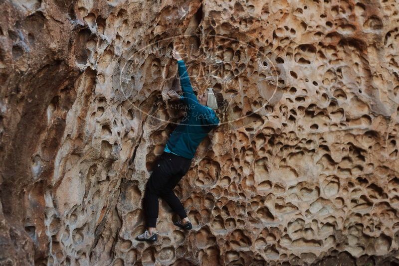 Bouldering in Hueco Tanks on 12/19/2019 with Blue Lizard Climbing and Yoga

Filename: SRM_20191219_1653060.jpg
Aperture: f/3.5
Shutter Speed: 1/100
Body: Canon EOS-1D Mark II
Lens: Canon EF 50mm f/1.8 II