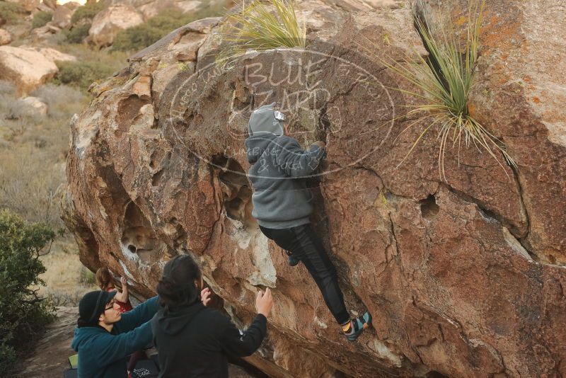 Bouldering in Hueco Tanks on 12/19/2019 with Blue Lizard Climbing and Yoga

Filename: SRM_20191219_1753050.jpg
Aperture: f/3.5
Shutter Speed: 1/250
Body: Canon EOS-1D Mark II
Lens: Canon EF 50mm f/1.8 II