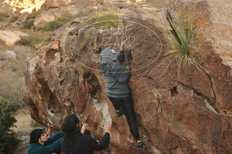 Bouldering in Hueco Tanks on 12/19/2019 with Blue Lizard Climbing and Yoga

Filename: SRM_20191219_1753060.jpg
Aperture: f/4.0
Shutter Speed: 1/250
Body: Canon EOS-1D Mark II
Lens: Canon EF 50mm f/1.8 II