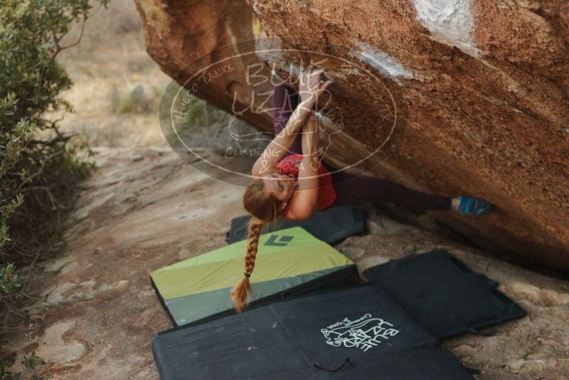 Bouldering in Hueco Tanks on 12/19/2019 with Blue Lizard Climbing and Yoga

Filename: SRM_20191219_1759281.jpg
Aperture: f/2.8
Shutter Speed: 1/250
Body: Canon EOS-1D Mark II
Lens: Canon EF 50mm f/1.8 II