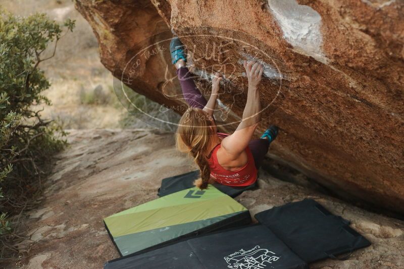 Bouldering in Hueco Tanks on 12/19/2019 with Blue Lizard Climbing and Yoga

Filename: SRM_20191219_1759380.jpg
Aperture: f/2.8
Shutter Speed: 1/250
Body: Canon EOS-1D Mark II
Lens: Canon EF 50mm f/1.8 II