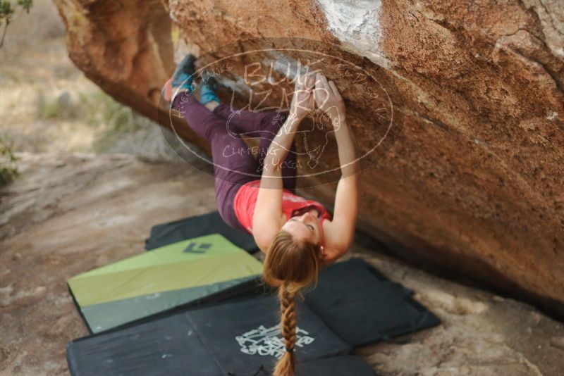 Bouldering in Hueco Tanks on 12/19/2019 with Blue Lizard Climbing and Yoga

Filename: SRM_20191219_1759450.jpg
Aperture: f/2.5
Shutter Speed: 1/250
Body: Canon EOS-1D Mark II
Lens: Canon EF 50mm f/1.8 II