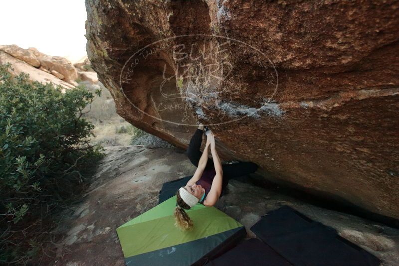 Bouldering in Hueco Tanks on 12/19/2019 with Blue Lizard Climbing and Yoga

Filename: SRM_20191219_1806080.jpg
Aperture: f/4.5
Shutter Speed: 1/250
Body: Canon EOS-1D Mark II
Lens: Canon EF 16-35mm f/2.8 L