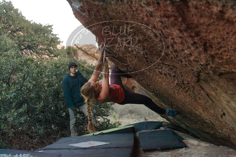 Bouldering in Hueco Tanks on 12/19/2019 with Blue Lizard Climbing and Yoga

Filename: SRM_20191219_1809340.jpg
Aperture: f/4.5
Shutter Speed: 1/250
Body: Canon EOS-1D Mark II
Lens: Canon EF 16-35mm f/2.8 L