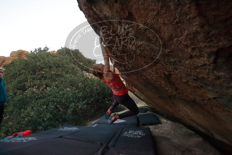 Bouldering in Hueco Tanks on 12/19/2019 with Blue Lizard Climbing and Yoga

Filename: SRM_20191219_1812151.jpg
Aperture: f/3.5
Shutter Speed: 1/250
Body: Canon EOS-1D Mark II
Lens: Canon EF 16-35mm f/2.8 L