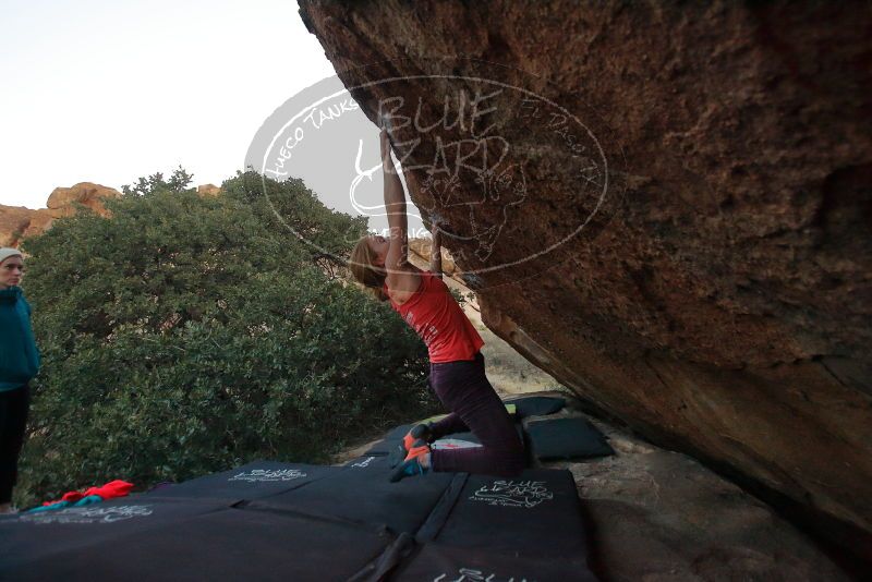 Bouldering in Hueco Tanks on 12/19/2019 with Blue Lizard Climbing and Yoga

Filename: SRM_20191219_1812152.jpg
Aperture: f/3.5
Shutter Speed: 1/250
Body: Canon EOS-1D Mark II
Lens: Canon EF 16-35mm f/2.8 L