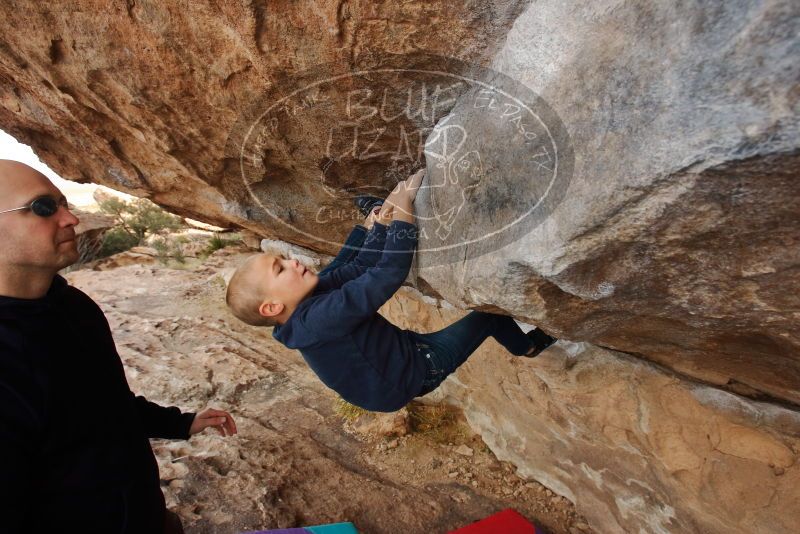 Bouldering in Hueco Tanks on 12/23/2019 with Blue Lizard Climbing and Yoga

Filename: SRM_20191223_0959500.jpg
Aperture: f/6.3
Shutter Speed: 1/250
Body: Canon EOS-1D Mark II
Lens: Canon EF 16-35mm f/2.8 L