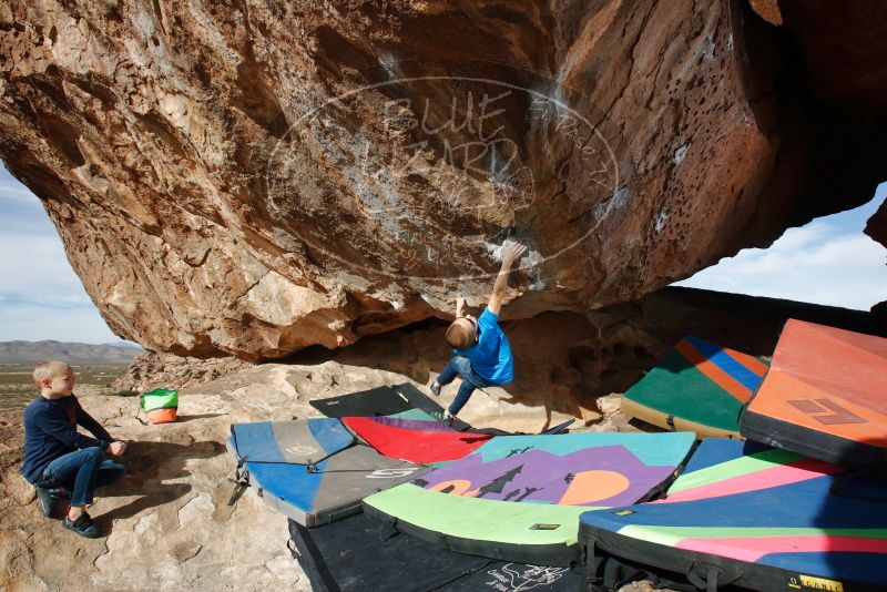 Bouldering in Hueco Tanks on 12/23/2019 with Blue Lizard Climbing and Yoga

Filename: SRM_20191223_1136120.jpg
Aperture: f/8.0
Shutter Speed: 1/250
Body: Canon EOS-1D Mark II
Lens: Canon EF 16-35mm f/2.8 L