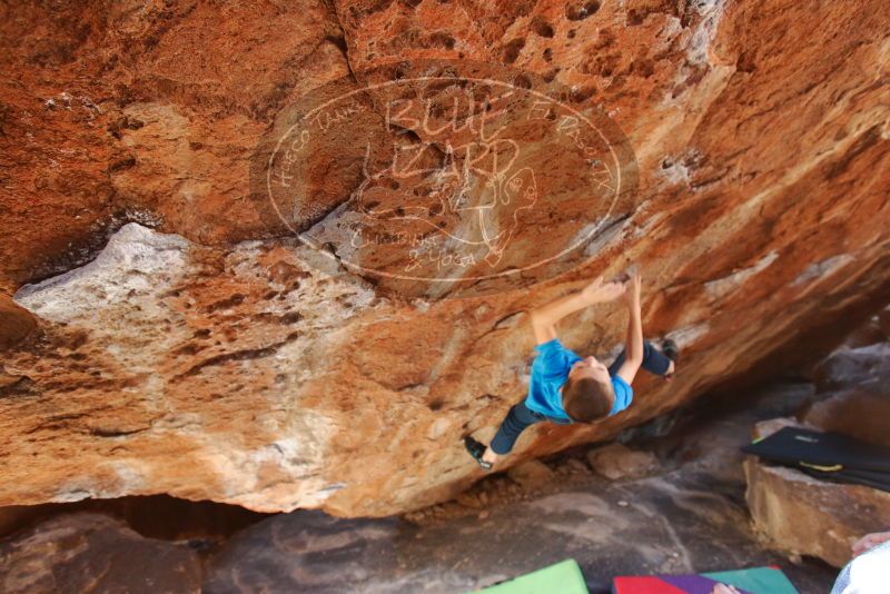 Bouldering in Hueco Tanks on 12/23/2019 with Blue Lizard Climbing and Yoga

Filename: SRM_20191223_1241020.jpg
Aperture: f/4.0
Shutter Speed: 1/200
Body: Canon EOS-1D Mark II
Lens: Canon EF 16-35mm f/2.8 L