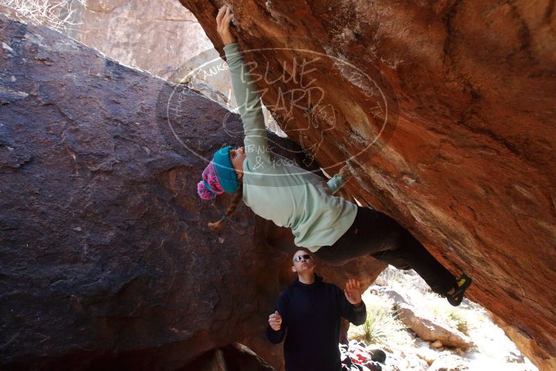 Bouldering in Hueco Tanks on 12/23/2019 with Blue Lizard Climbing and Yoga

Filename: SRM_20191223_1301190.jpg
Aperture: f/5.6
Shutter Speed: 1/250
Body: Canon EOS-1D Mark II
Lens: Canon EF 16-35mm f/2.8 L