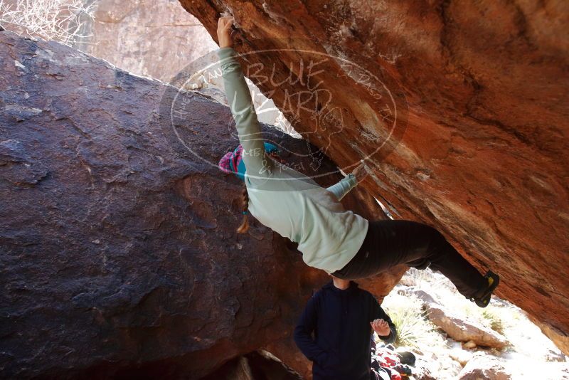 Bouldering in Hueco Tanks on 12/23/2019 with Blue Lizard Climbing and Yoga

Filename: SRM_20191223_1301210.jpg
Aperture: f/5.6
Shutter Speed: 1/250
Body: Canon EOS-1D Mark II
Lens: Canon EF 16-35mm f/2.8 L