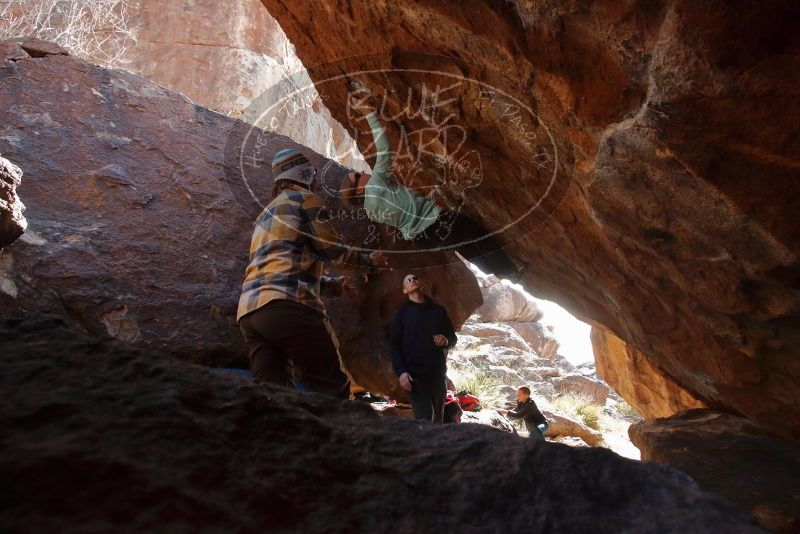 Bouldering in Hueco Tanks on 12/23/2019 with Blue Lizard Climbing and Yoga

Filename: SRM_20191223_1350020.jpg
Aperture: f/7.1
Shutter Speed: 1/250
Body: Canon EOS-1D Mark II
Lens: Canon EF 16-35mm f/2.8 L