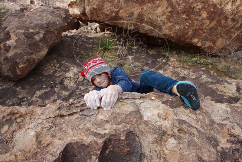 Bouldering in Hueco Tanks on 12/23/2019 with Blue Lizard Climbing and Yoga

Filename: SRM_20191223_1425530.jpg
Aperture: f/8.0
Shutter Speed: 1/250
Body: Canon EOS-1D Mark II
Lens: Canon EF 16-35mm f/2.8 L