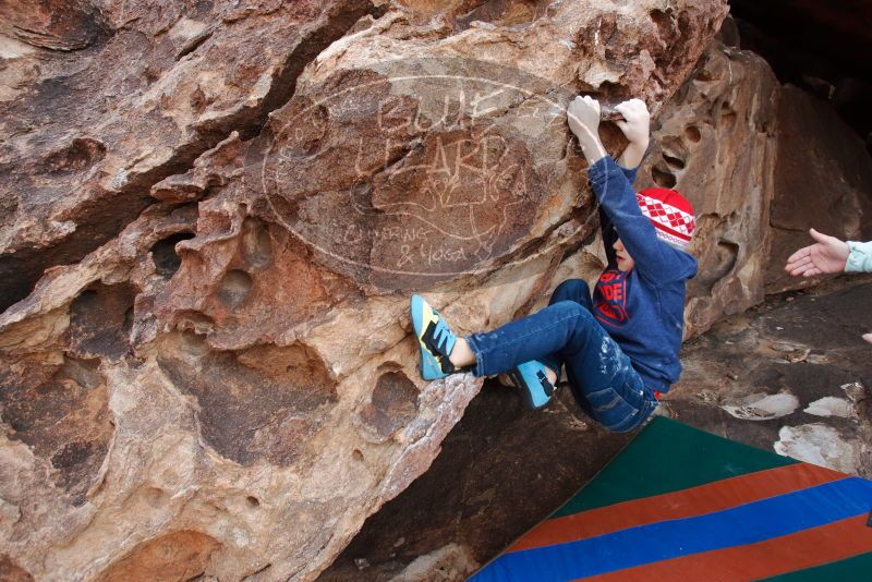 Bouldering in Hueco Tanks on 12/23/2019 with Blue Lizard Climbing and Yoga

Filename: SRM_20191223_1430580.jpg
Aperture: f/5.0
Shutter Speed: 1/250
Body: Canon EOS-1D Mark II
Lens: Canon EF 16-35mm f/2.8 L