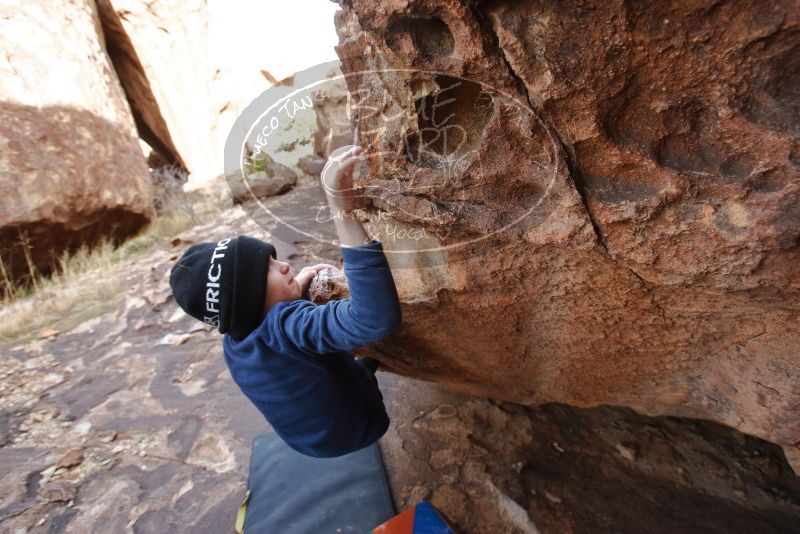 Bouldering in Hueco Tanks on 12/23/2019 with Blue Lizard Climbing and Yoga

Filename: SRM_20191223_1432350.jpg
Aperture: f/4.5
Shutter Speed: 1/250
Body: Canon EOS-1D Mark II
Lens: Canon EF 16-35mm f/2.8 L