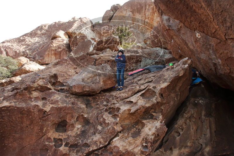 Bouldering in Hueco Tanks on 12/23/2019 with Blue Lizard Climbing and Yoga

Filename: SRM_20191223_1433170.jpg
Aperture: f/7.1
Shutter Speed: 1/250
Body: Canon EOS-1D Mark II
Lens: Canon EF 16-35mm f/2.8 L