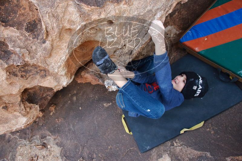 Bouldering in Hueco Tanks on 12/23/2019 with Blue Lizard Climbing and Yoga

Filename: SRM_20191223_1436440.jpg
Aperture: f/4.5
Shutter Speed: 1/250
Body: Canon EOS-1D Mark II
Lens: Canon EF 16-35mm f/2.8 L