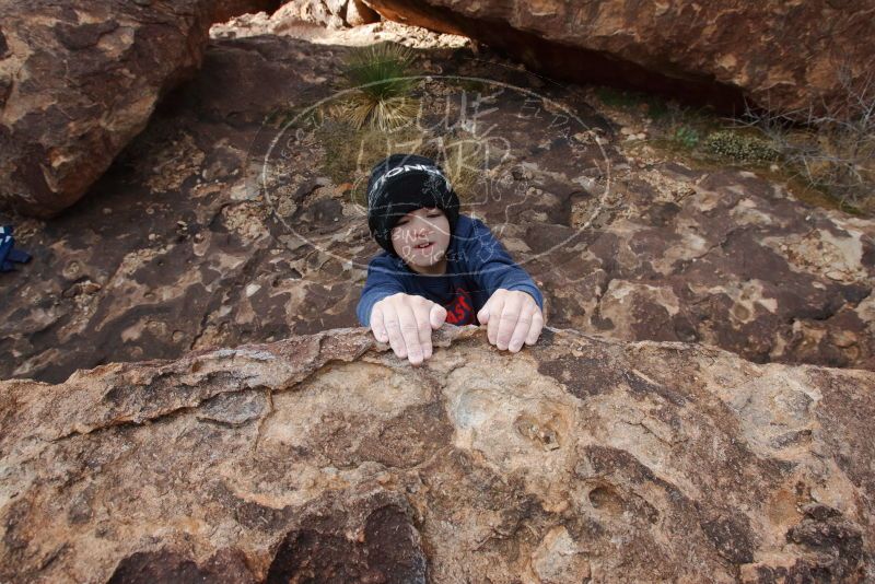 Bouldering in Hueco Tanks on 12/23/2019 with Blue Lizard Climbing and Yoga

Filename: SRM_20191223_1448400.jpg
Aperture: f/9.0
Shutter Speed: 1/250
Body: Canon EOS-1D Mark II
Lens: Canon EF 16-35mm f/2.8 L