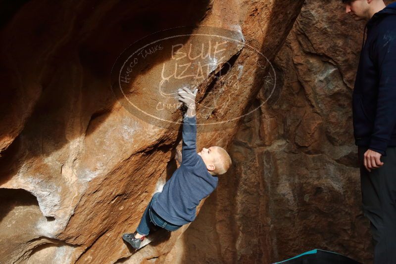 Bouldering in Hueco Tanks on 12/23/2019 with Blue Lizard Climbing and Yoga

Filename: SRM_20191223_1602280.jpg
Aperture: f/7.1
Shutter Speed: 1/250
Body: Canon EOS-1D Mark II
Lens: Canon EF 16-35mm f/2.8 L