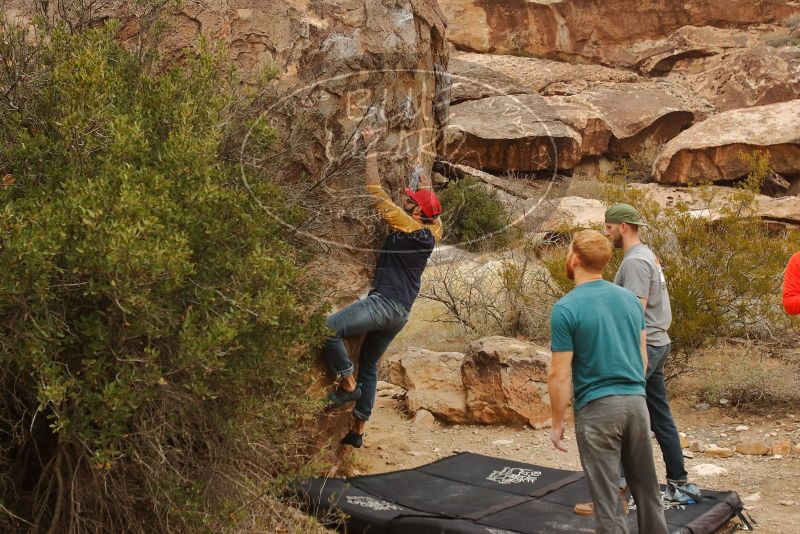 Bouldering in Hueco Tanks on 12/24/2019 with Blue Lizard Climbing and Yoga

Filename: SRM_20191224_1116040.jpg
Aperture: f/5.0
Shutter Speed: 1/320
Body: Canon EOS-1D Mark II
Lens: Canon EF 16-35mm f/2.8 L