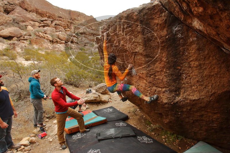 Bouldering in Hueco Tanks on 12/24/2019 with Blue Lizard Climbing and Yoga

Filename: SRM_20191224_1203590.jpg
Aperture: f/6.3
Shutter Speed: 1/320
Body: Canon EOS-1D Mark II
Lens: Canon EF 16-35mm f/2.8 L