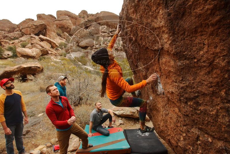 Bouldering in Hueco Tanks on 12/24/2019 with Blue Lizard Climbing and Yoga

Filename: SRM_20191224_1204060.jpg
Aperture: f/7.1
Shutter Speed: 1/320
Body: Canon EOS-1D Mark II
Lens: Canon EF 16-35mm f/2.8 L