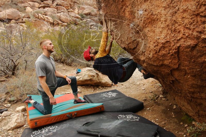 Bouldering in Hueco Tanks on 12/24/2019 with Blue Lizard Climbing and Yoga

Filename: SRM_20191224_1211300.jpg
Aperture: f/6.3
Shutter Speed: 1/320
Body: Canon EOS-1D Mark II
Lens: Canon EF 16-35mm f/2.8 L