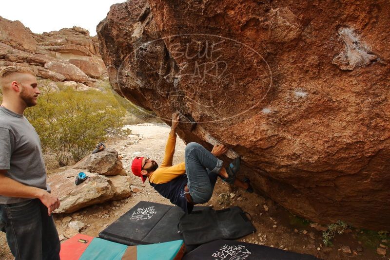 Bouldering in Hueco Tanks on 12/24/2019 with Blue Lizard Climbing and Yoga

Filename: SRM_20191224_1235230.jpg
Aperture: f/8.0
Shutter Speed: 1/250
Body: Canon EOS-1D Mark II
Lens: Canon EF 16-35mm f/2.8 L