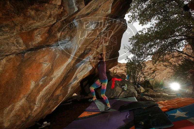 Bouldering in Hueco Tanks on 12/24/2019 with Blue Lizard Climbing and Yoga

Filename: SRM_20191224_1418150.jpg
Aperture: f/8.0
Shutter Speed: 1/250
Body: Canon EOS-1D Mark II
Lens: Canon EF 16-35mm f/2.8 L