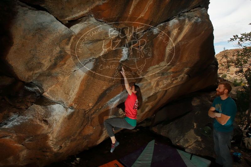 Bouldering in Hueco Tanks on 12/24/2019 with Blue Lizard Climbing and Yoga

Filename: SRM_20191224_1426120.jpg
Aperture: f/8.0
Shutter Speed: 1/250
Body: Canon EOS-1D Mark II
Lens: Canon EF 16-35mm f/2.8 L