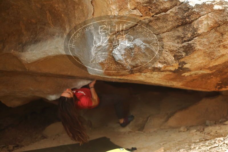 Bouldering in Hueco Tanks on 12/24/2019 with Blue Lizard Climbing and Yoga

Filename: SRM_20191224_1506590.jpg
Aperture: f/2.8
Shutter Speed: 1/250
Body: Canon EOS-1D Mark II
Lens: Canon EF 50mm f/1.8 II
