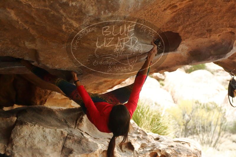 Bouldering in Hueco Tanks on 12/24/2019 with Blue Lizard Climbing and Yoga

Filename: SRM_20191224_1608030.jpg
Aperture: f/4.0
Shutter Speed: 1/200
Body: Canon EOS-1D Mark II
Lens: Canon EF 50mm f/1.8 II