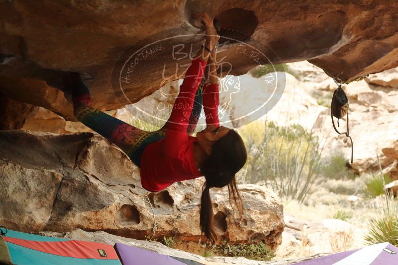 Bouldering in Hueco Tanks on 12/24/2019 with Blue Lizard Climbing and Yoga

Filename: SRM_20191224_1608110.jpg
Aperture: f/4.5
Shutter Speed: 1/200
Body: Canon EOS-1D Mark II
Lens: Canon EF 50mm f/1.8 II